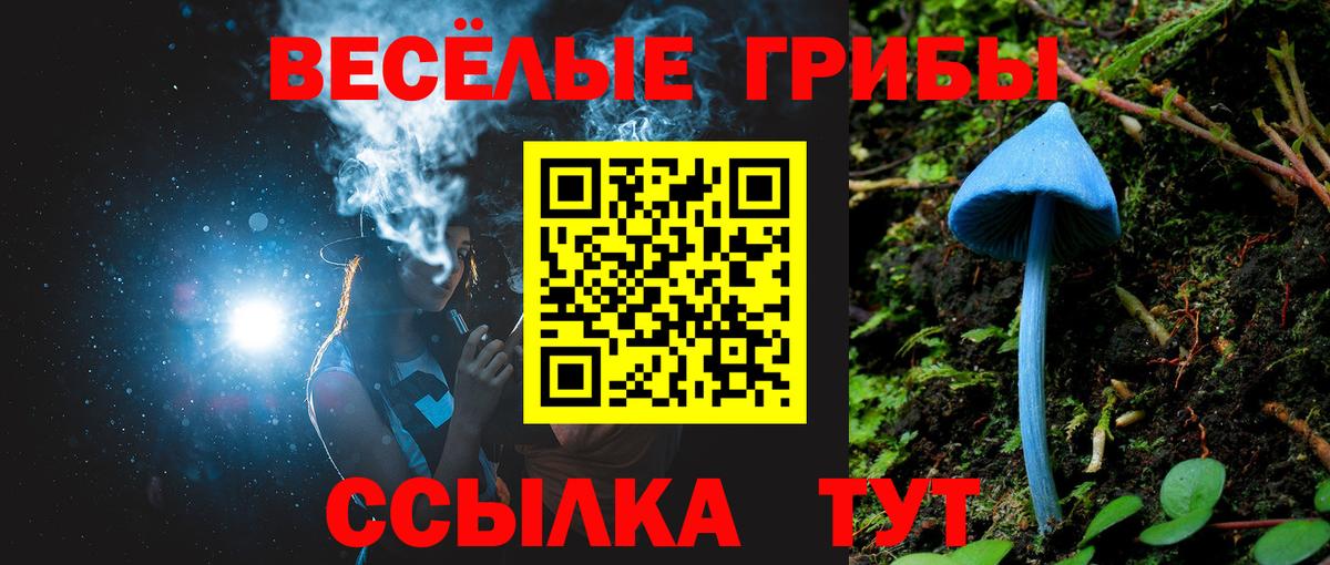 Тула  Псилоцибиновые грибы Psilocybe  Вход с VPN 