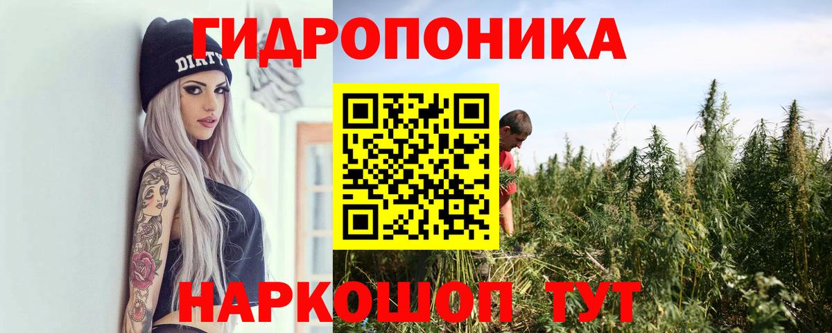 Шишки марихуана Bruce Banner  Шишки марихуана THC 21%  Тула  Бошки Шишки планчик  Конопля гибрид  Вход с VPN 